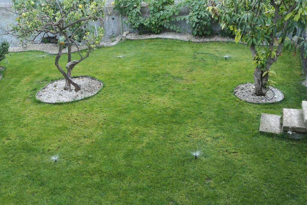 Souterrain Fuer Max 2 P., Bad, Aussenkueche, Garten Güimar Extérieur photo